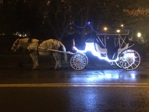 victoria_horse_carriage
